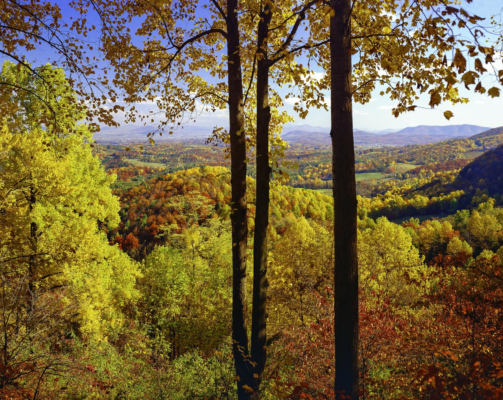 Blue Ridge Parkway - Virginia Road Trip