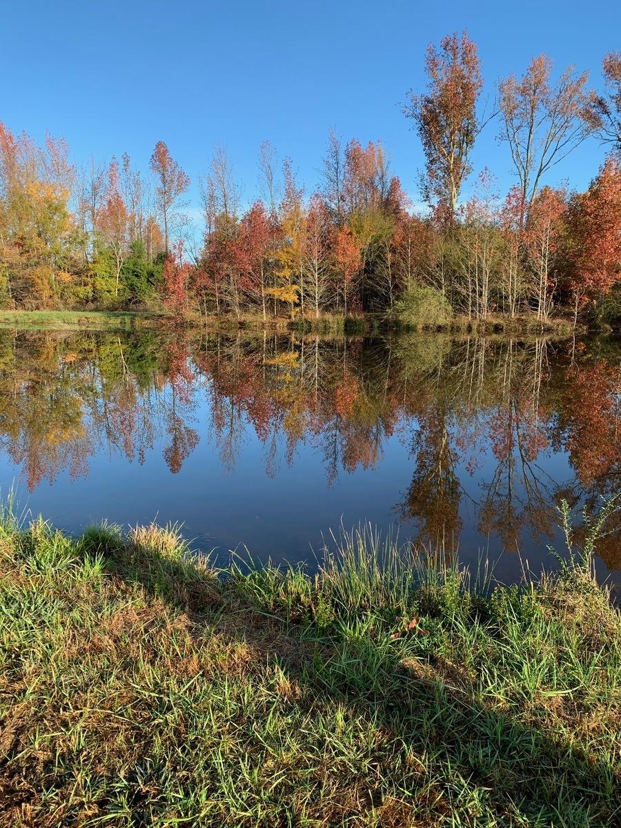 Peaceful Acres at Plato's Branch