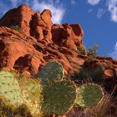 Sedona Red Rocks Outback Tour: Scenic with mild off-roading