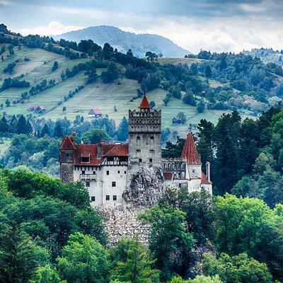 Dracula's Castle, Brasov and Peles Full-Day Tour from Bucharest