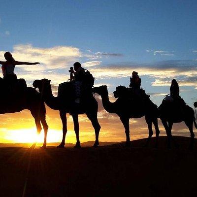 2-Day Zagora Desert Tour from Marrakech