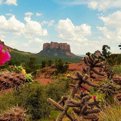 Sedona Day Trip from Phoenix