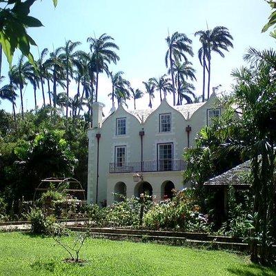 Barbados Harrison's Cave and St Nicolas Abbey Tour