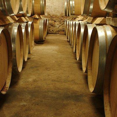 Marseille Shore Excursion - Full Day Wine Tour in Provence