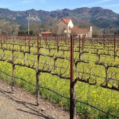 Self Guided E-Bike Tour In Healdsburg's Dry Creek Valley 