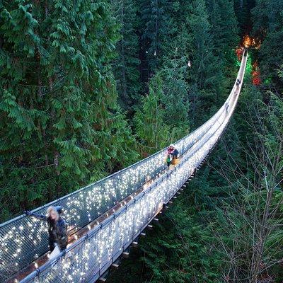 Explore Vancouver City & Capilano Suspension Bridge Canyon Lights