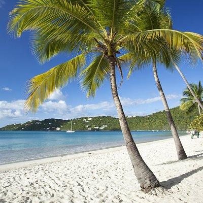 St Thomas Private Group Tour (11 or more ppl)