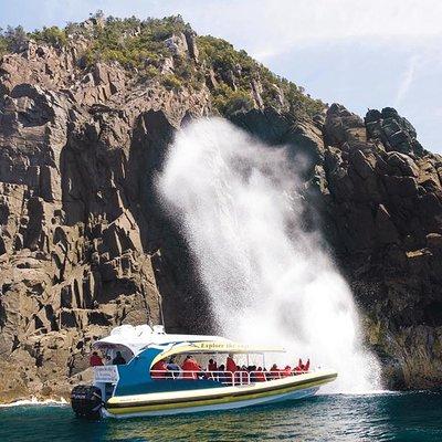 Full-Day Bruny Island Cruises Day Tour from Hobart