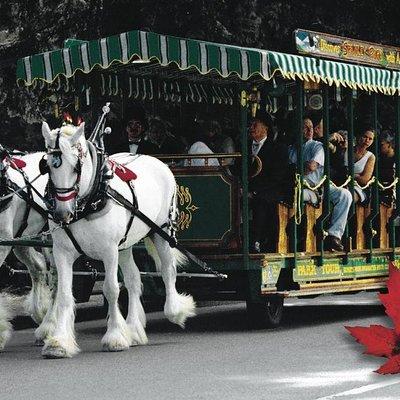 Stanley Park Horse-Drawn Tour