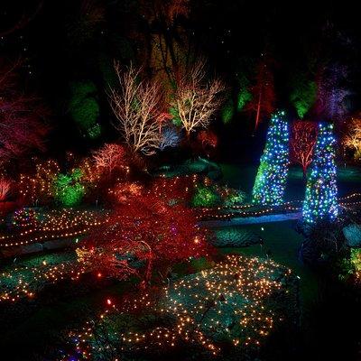 Enchanted Christmas Lights The Butchart Gardens: Entry included!