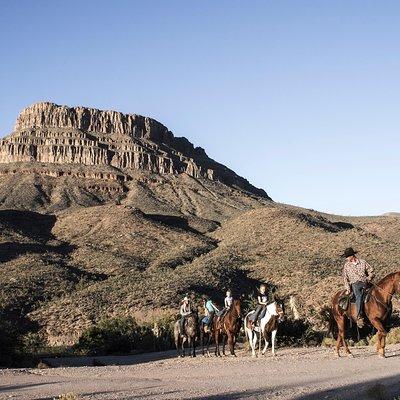 Western Ranch Overnight Experience: Cabin or Camp Out