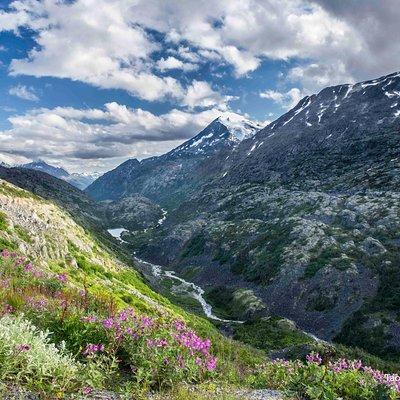 Yukon Suspension Bridge and Summit Tour