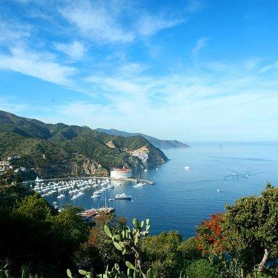 Catalina Island Trip with Hotel transfers & Optional tours