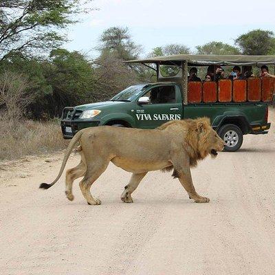 5 Day Classic Kruger National Park Safari