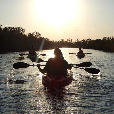 Manatees/Sunset/Bioluminescence Tour