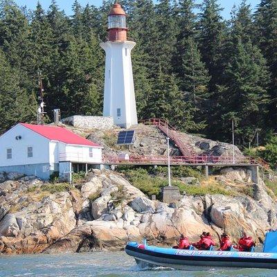 Vancouver City and Seals Scenic Boat Tour by Vancouver Water Adventures