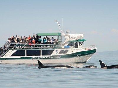 Victoria Whale Watching Tour on a Covered Vessel