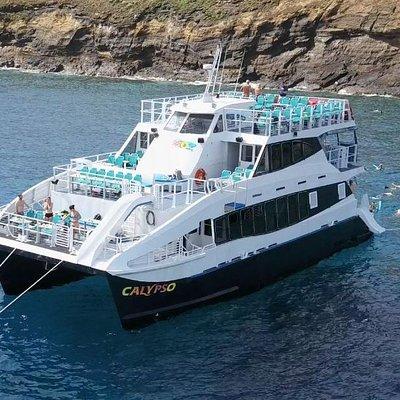 Molokini Snorkeling Adventure Aboard Calypso From Ma'alaea Harbor