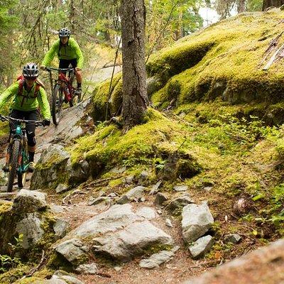 Whistler Full-Day Mountain Bike Tour