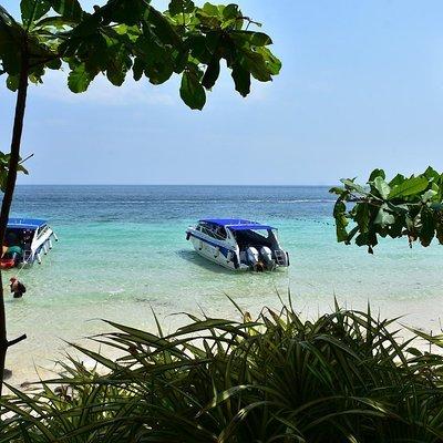 Private Phi Phi Island Speed Boat Tour from Krabi