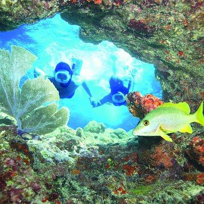 Key West Reef Snorkel – Morning Mimosas or Afternoon Margaritas