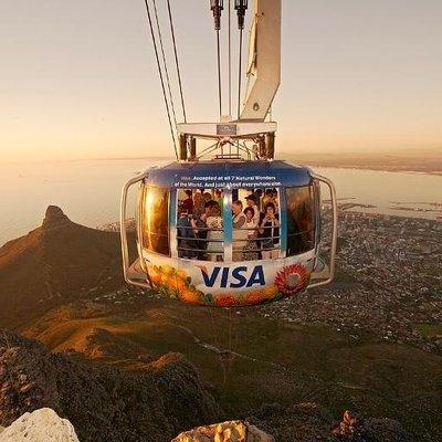 Table Mountain, Penguins & Cape Point Small Group Tour from Cape Town