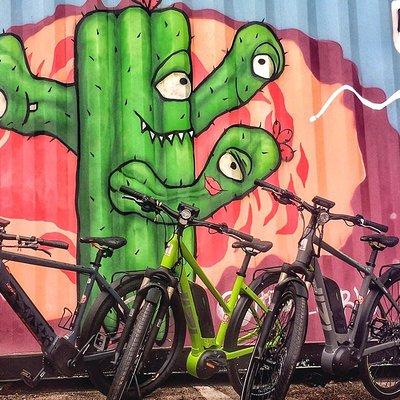 Austin Electric Bike Tour: Let it Ride