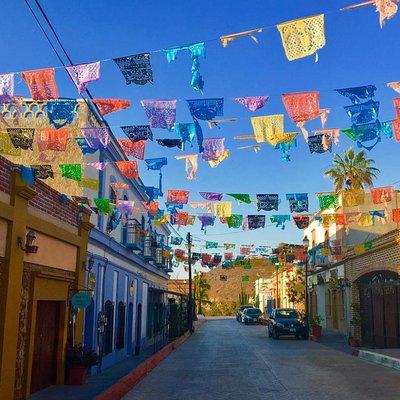 Todos Santos Day Trip from Cabo San Lucas