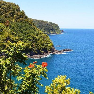 Small-Group Road to Hana Luxury Tour