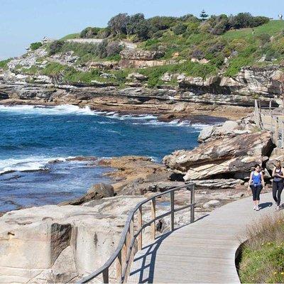 Private Tour: Sydney City Highlights & Hidden Gems