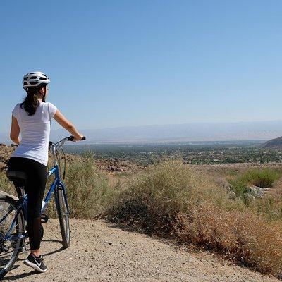 Palm Springs Indian Canyons Bike and Hike