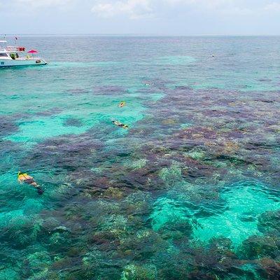 Key Largo Snorkeling Tour - rental mask, fins and vest INCLUDED