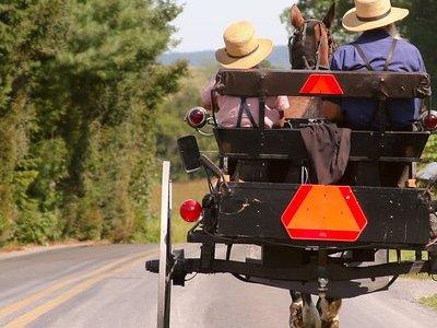 Premium Amish Country Tour including Amish Farm and House