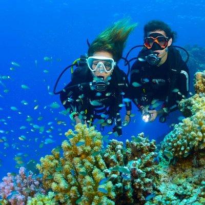 Tulamben Diving USS Liberty Shipwreck Scuba Dive