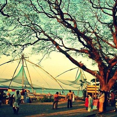 Cochin City or Backwater Shore Excursions from Cruise Terminal