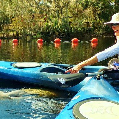 Blue Springs Manatee Tours Orlando