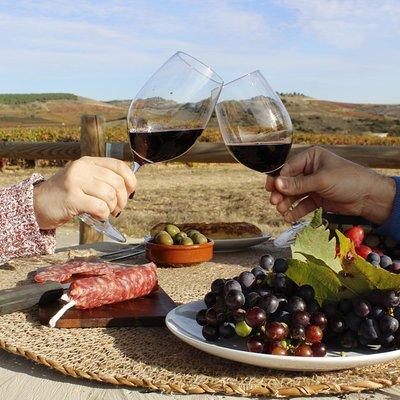 Customized Rioja food&wine tour