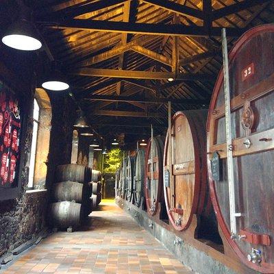 Port Wine Lodges Tour Including 7 Port Wine Tastings (English)