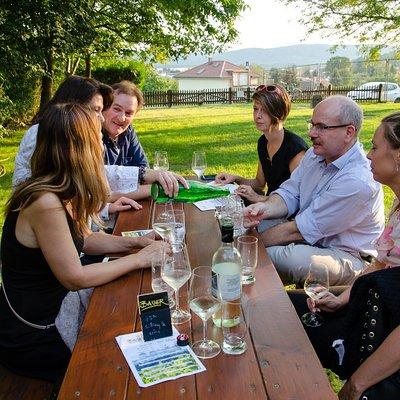 Countryside Half Day Wine Tour near Vienna