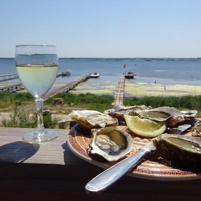 Oysters and seafood of the French Mediterranean Coast