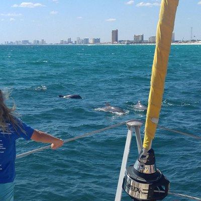 Panama City Beach Dolphin Sightseeing Sail