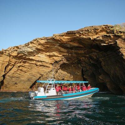 Hunter Coastal Adventure Tour by Boat from Newcastle