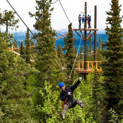 Denali Park Zipline Adventure