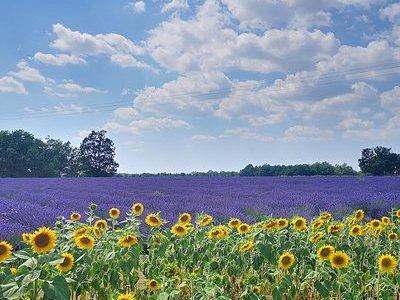 Arles Small groupe tour : Private Day Trip to Luberon Villages