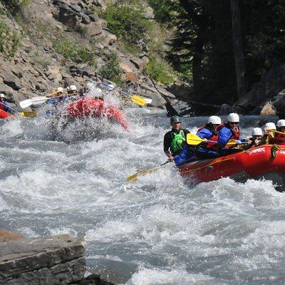 Half-Day Whitewater Rafting in Revelstoke