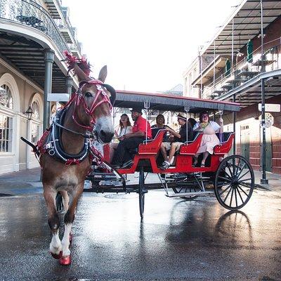 New Orleans French Quarter and More Carriage Ride 