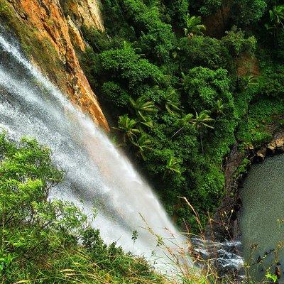 Rainforest & Waterfalls Experience