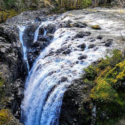 Waterfalls, Cathedral Grove Rainforest, and Coombs Adventure with Hiking