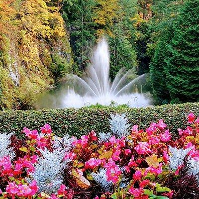 Victoria City and Butchart Gardens Private Half-Day Tour