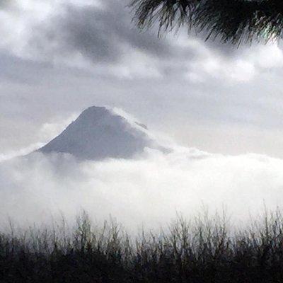 Full-Day Mt Hood Waterfall Tour with Lunch and Wine Included